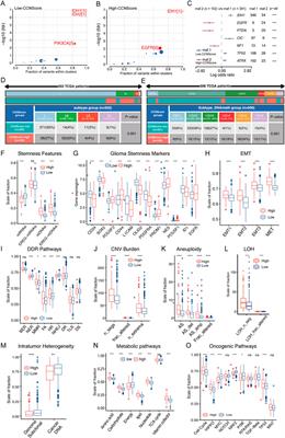 Stromal protein CCN family contributes to the poor prognosis in lower-grade gioma by modulating immunity, matrix, stemness, and metabolism